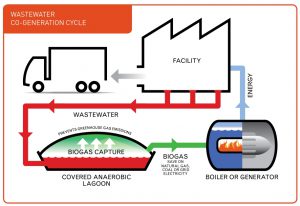 Biogas diagram 