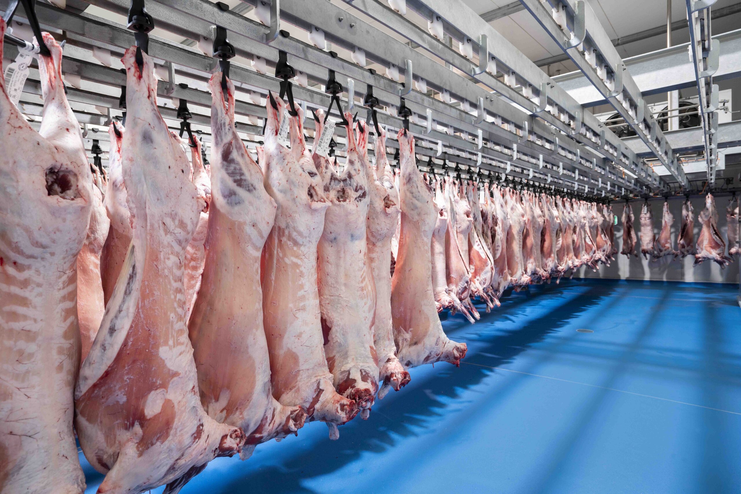 Gundagai Meat Processors Facility Upgrades